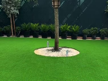 Zona verde de grama artificial en un local, con un árbol en su alcorque y plantas en maceta al fondo.