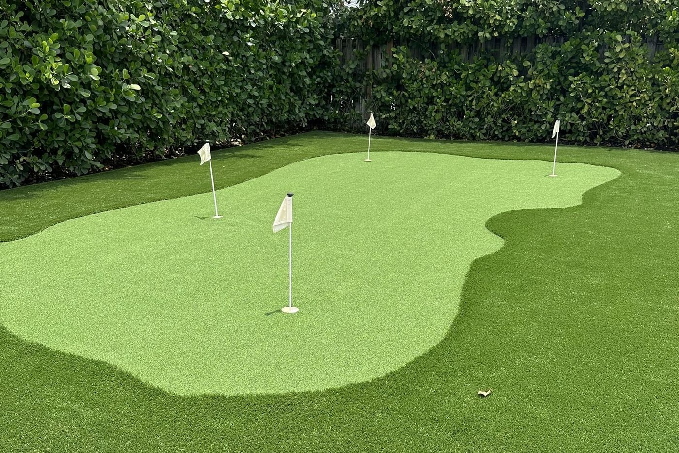 Putting green de grama artificial con tres banderas blancas y un borde de fibra más larga, con un seto detrás.