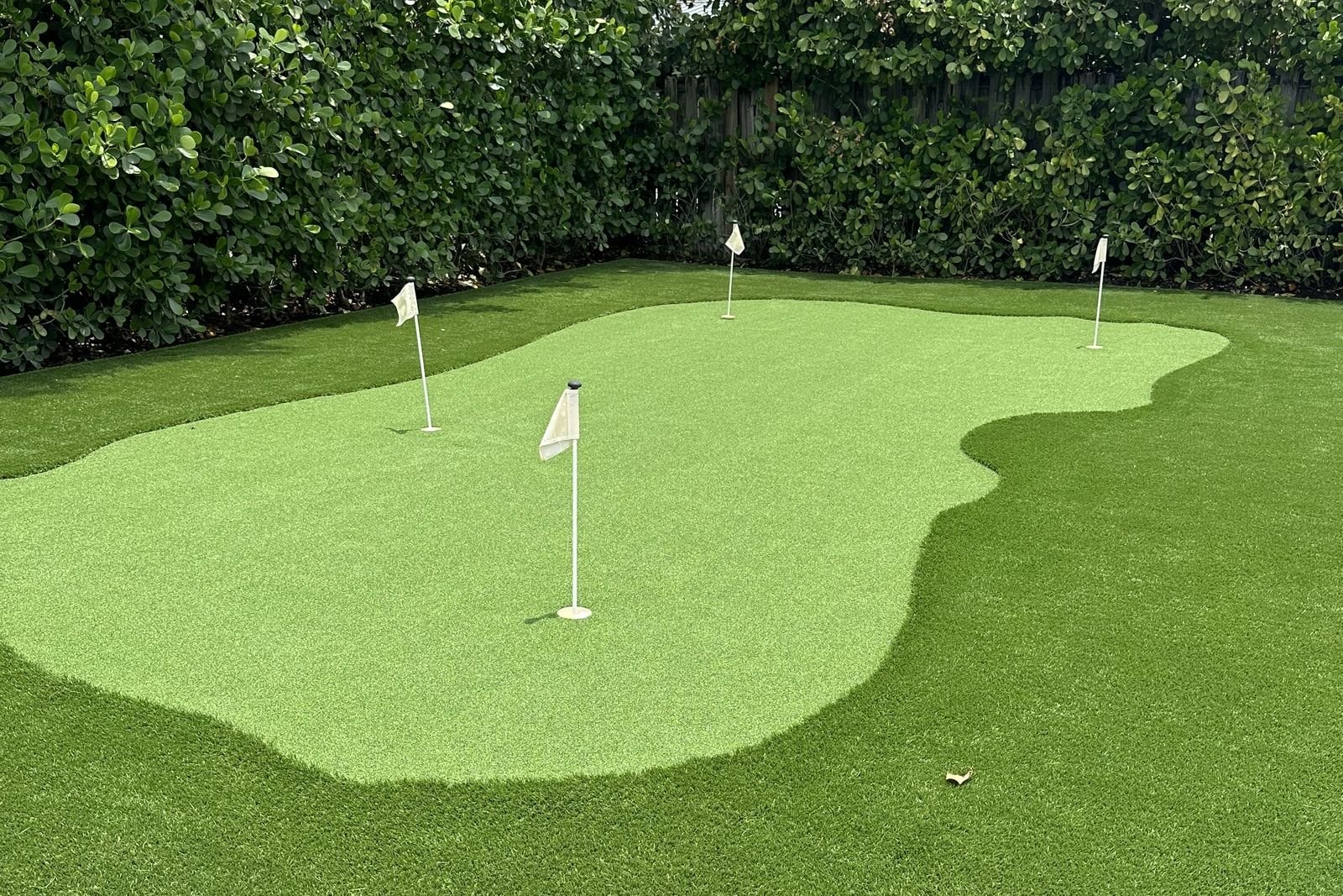 Putting green de grama artificial con tres banderas blancas y un borde de fibra más larga, con un seto detrás.